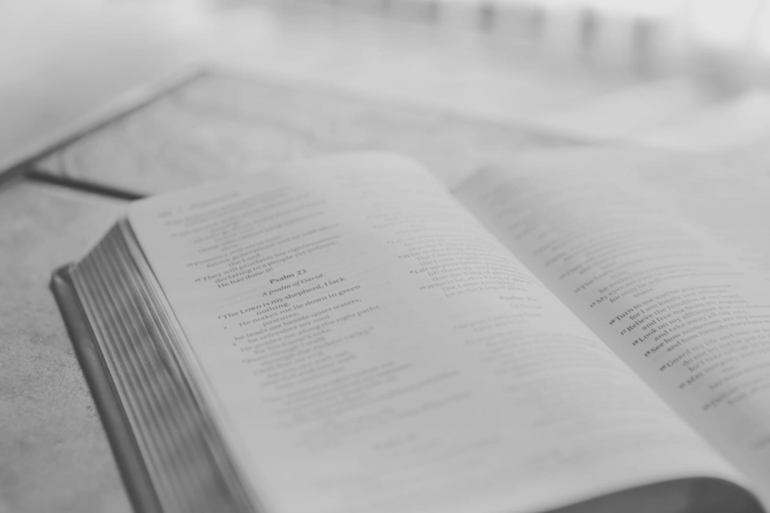 Клиентские рекомендации в недвижимости